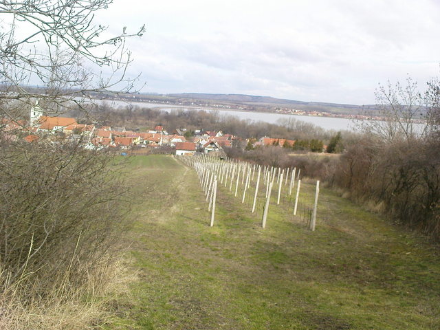 Plava jak ji mm rd zvtit