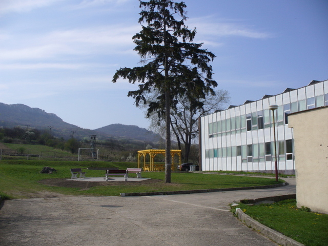 Okol koly zvtit
