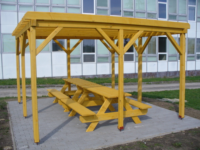 Okol koly zvtit