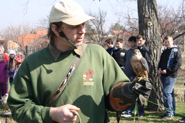 Pehldka dravc zvtit